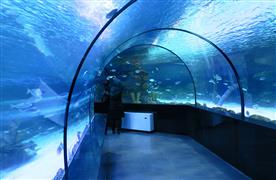 آکواریوم اصفهان، تونلی شیشه‌ای که ماهیان مختلف در آن درحال شنا هستند و زنی زیر تونل درحال عکاسی از آن.